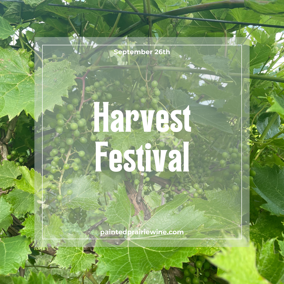 Harvest Festival Market- Vendor Fee