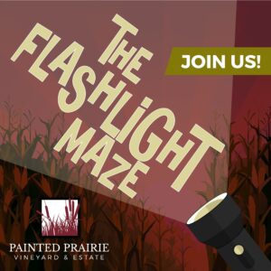 2026 Flashlight Maze